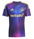 Los Angeles Galaxy 2025 (Away)