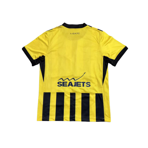 AEK Athens 2025/26 (Home) Jersey